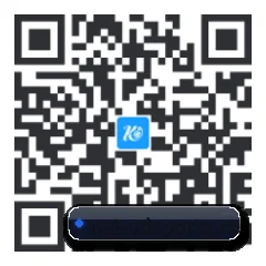 系统版 iOS 二维码